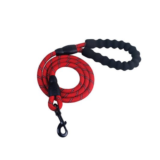 GlowWalk Safety Dog Leash