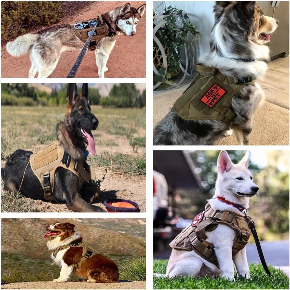 CamoLux Dog Harness Set