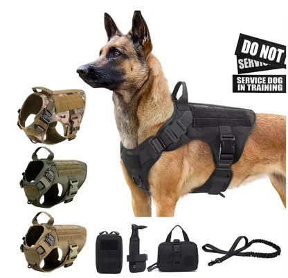 CamoLux Dog Harness Set
